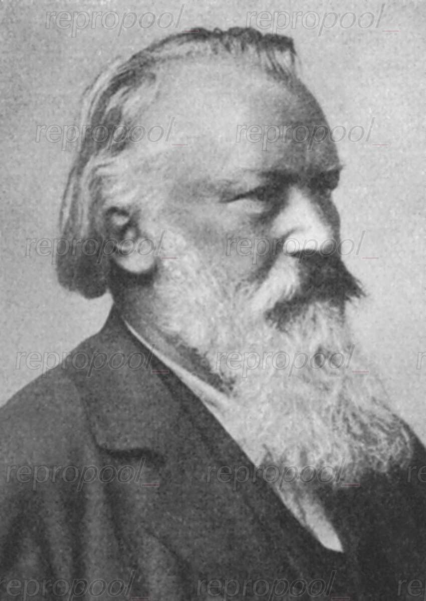 Johannes Brahms; Fotografie von Rudolf Krziwanek (1895)